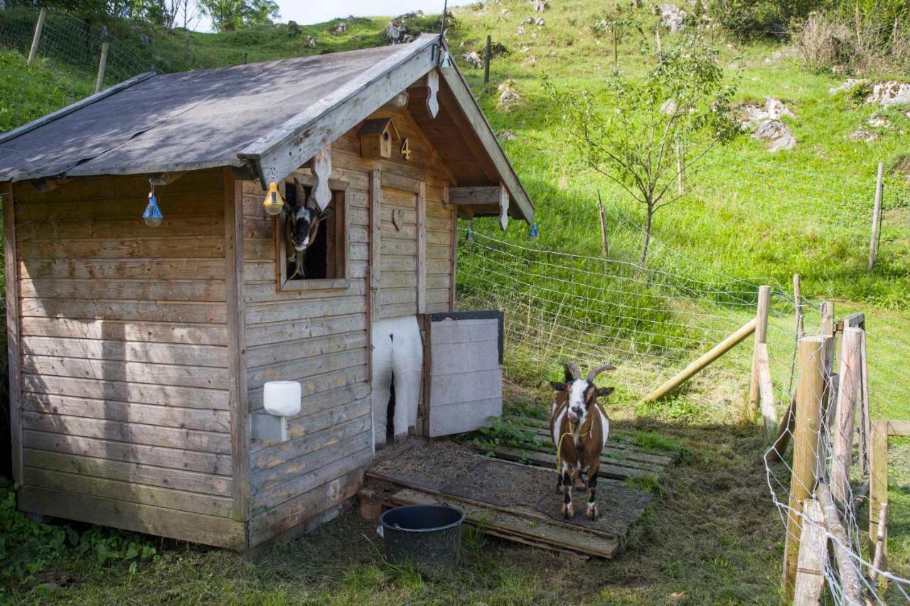 Gaestehaus Schreyer Oberaudorf Dış mekan fotoğraf